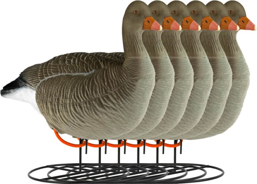 Grauwe Ganzen Lokkers – Flocked - Afbeelding 4