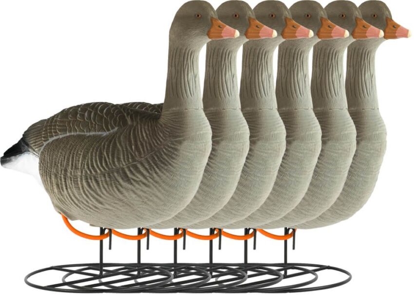 Grauwe Ganzen Lokkers – Flocked - Afbeelding 6