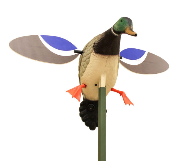 MOJO - BABY DRAKE – Compacte Elektrische lokvogel voor Wilde Eend