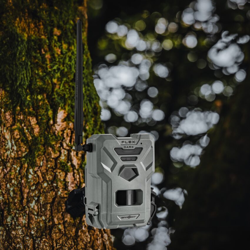 SPYPOINT FLEX-DARK – Onzichtbare 4G Wildcamera met 40MP - Afbeelding 2