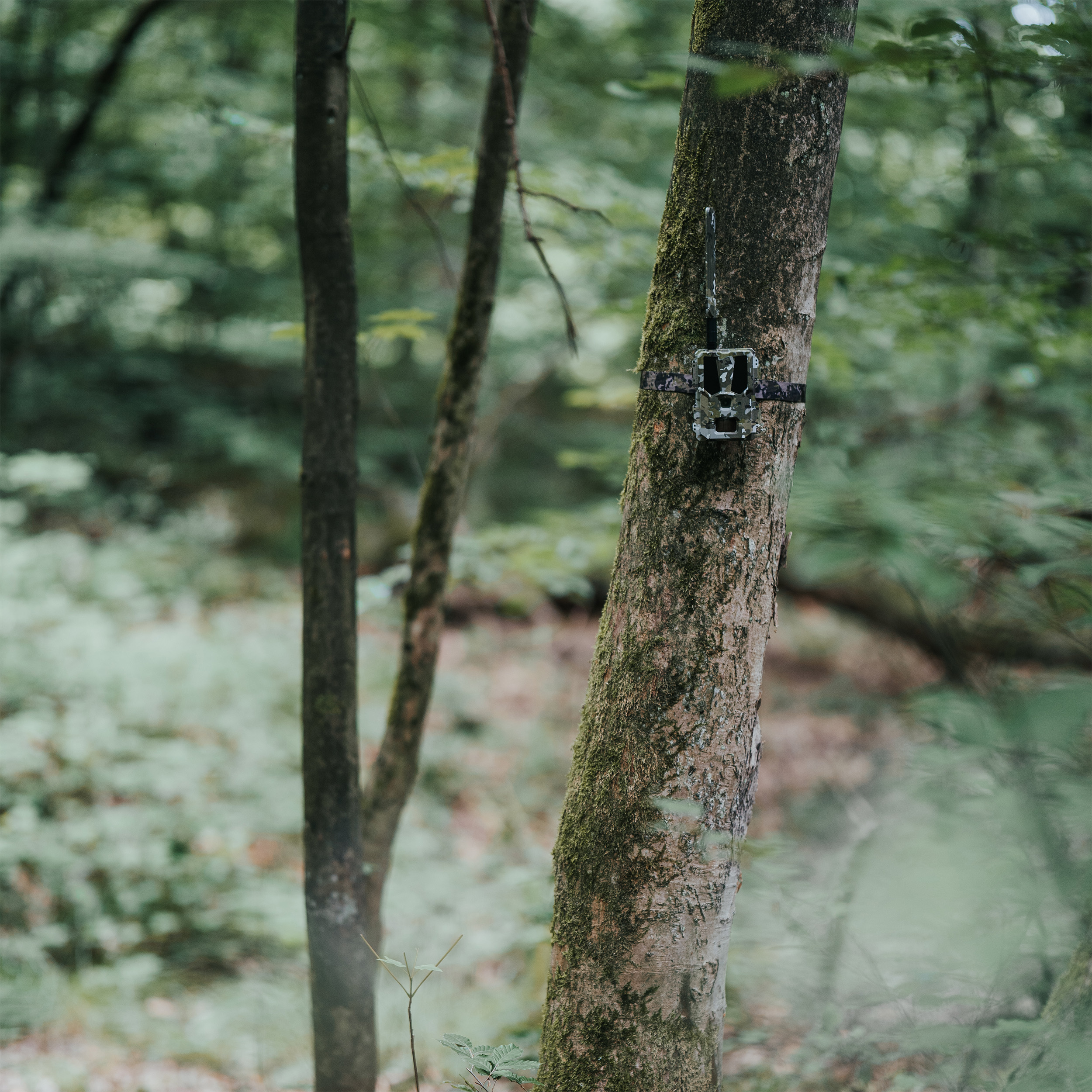 MODERNHUNTER- Hunter 4G Mini LTE-SIM - wildcamera - Afbeelding 10